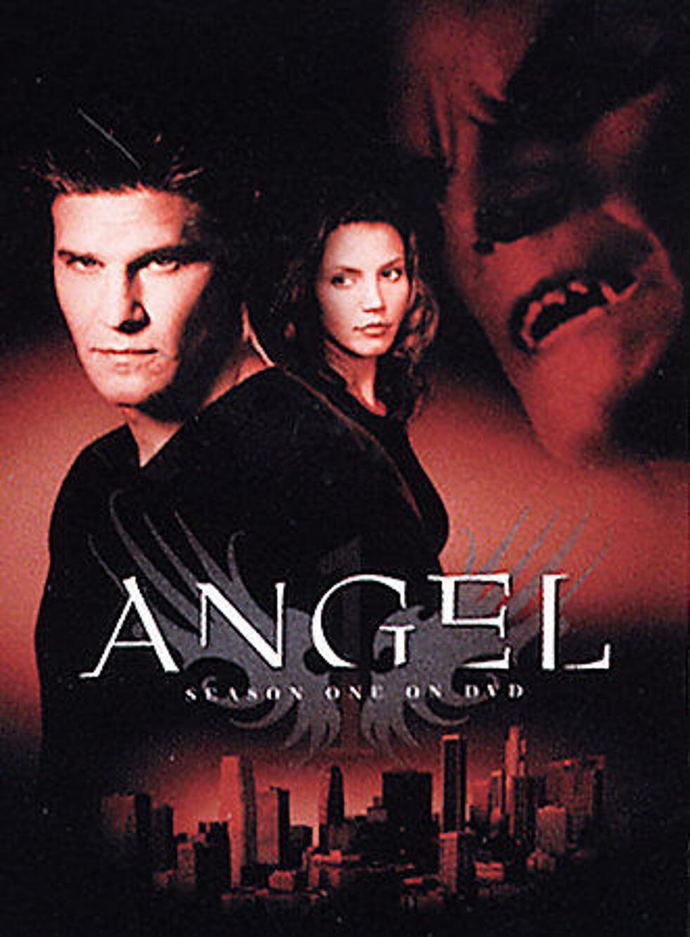 Angel - Season One - DVD - VERY GOOD